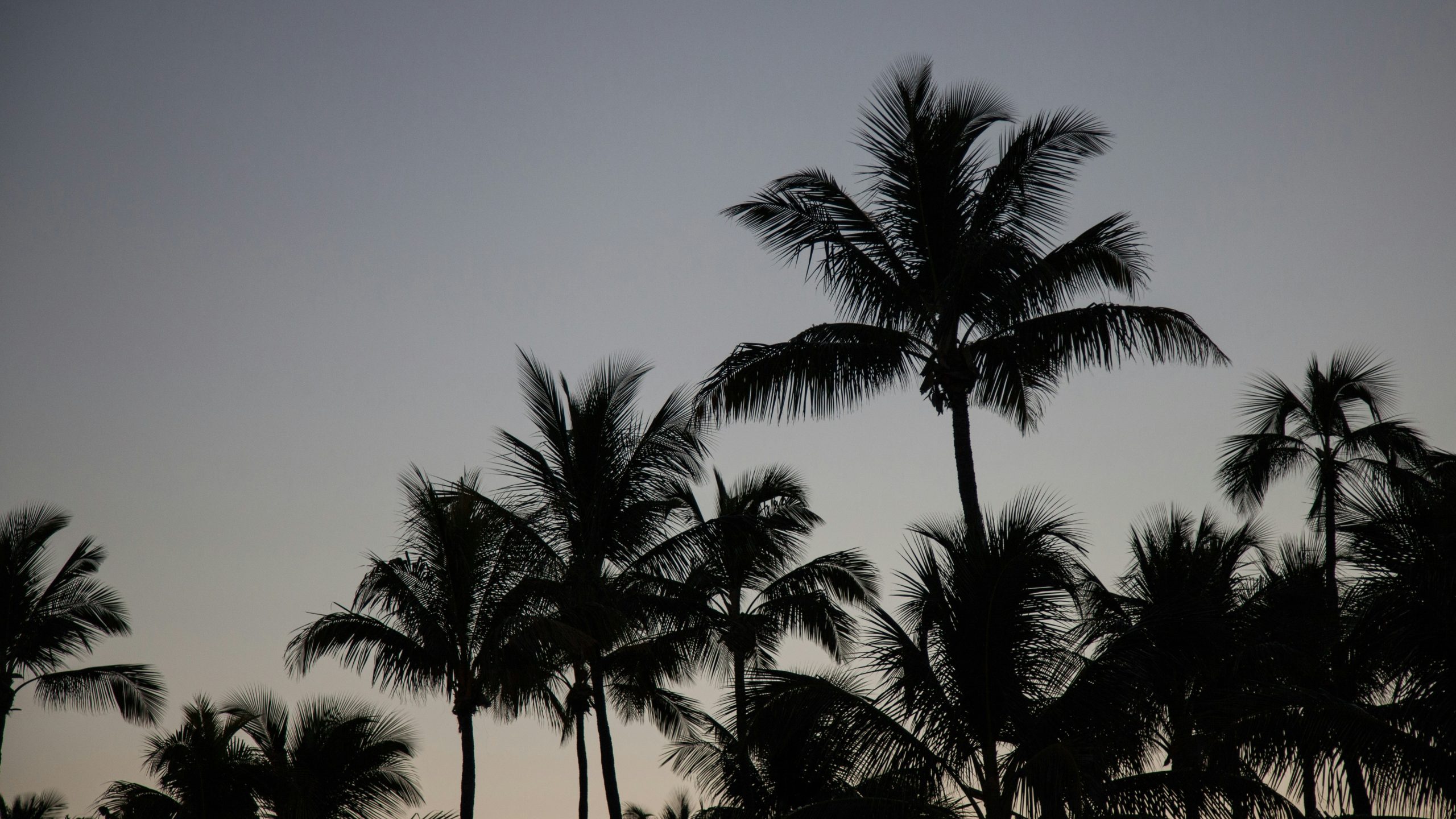Best beaches in Florida for families