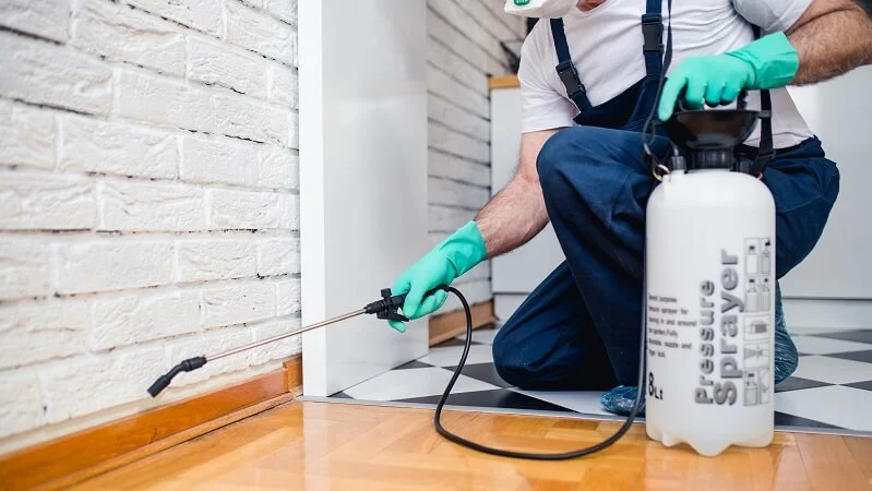 Best Pest Control Services New York