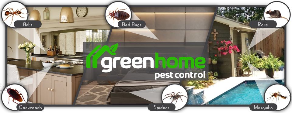 Best Pest Control Services Arizona