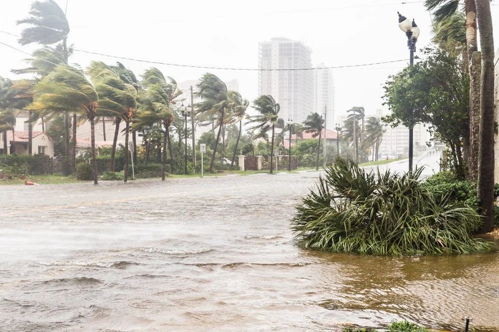 Navigating South Florida Water Damage Insurance Claims